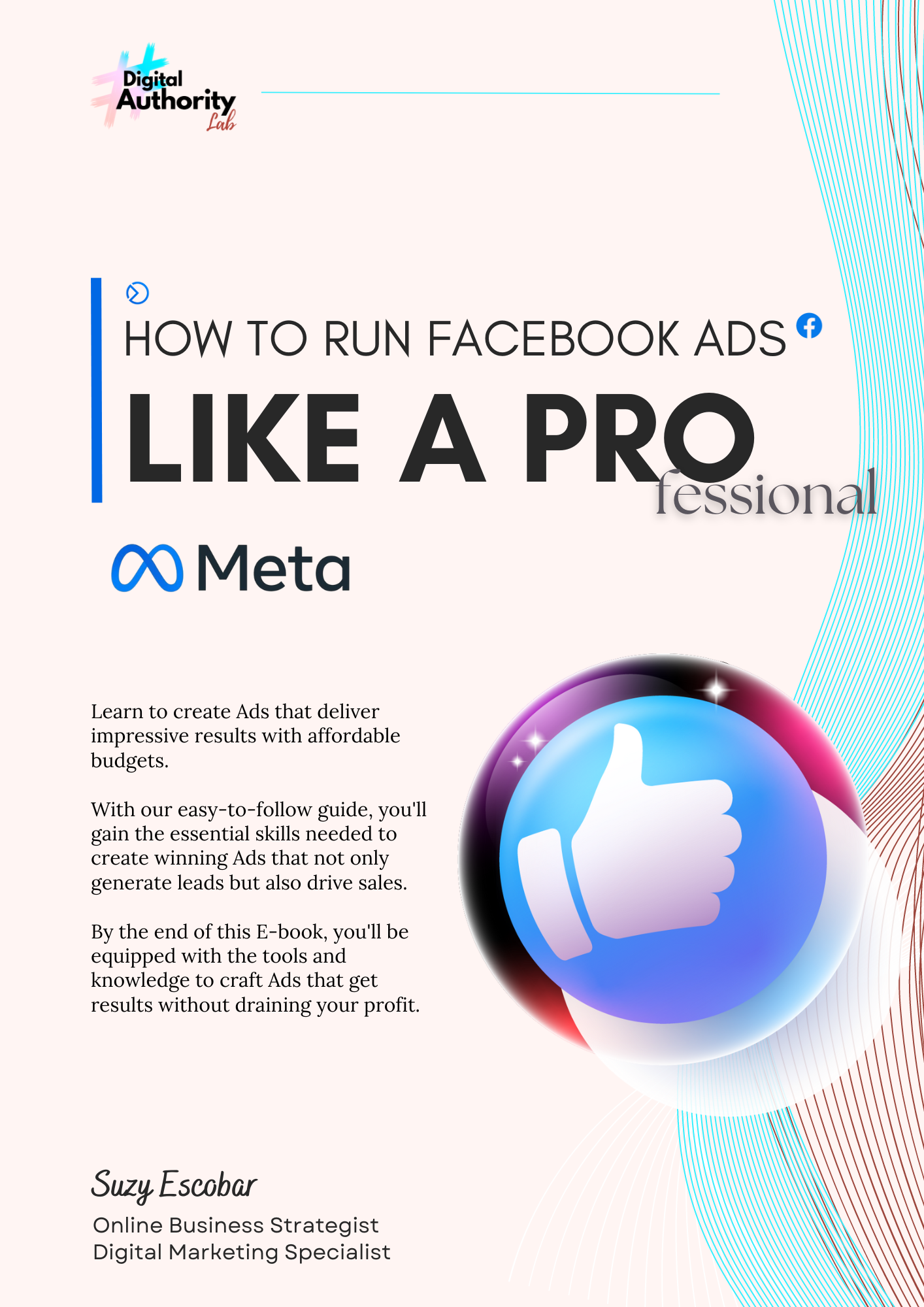 E-Book How to run Facebook Ads like a PRO